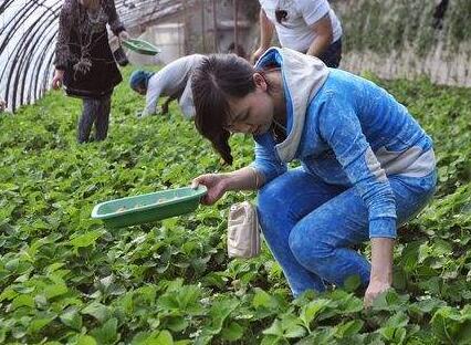 長壽湖農(nóng)家樂圖